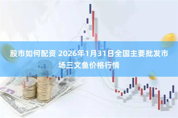 股市如何配资 2026年1月31日全国主要批发市场三文鱼价格行情
